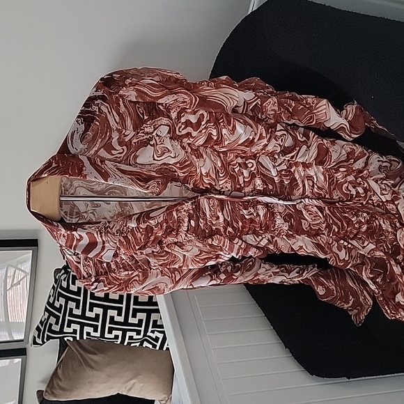 Collared Buttoned Front Ruched Mesh Dress - Picture 7 of 7